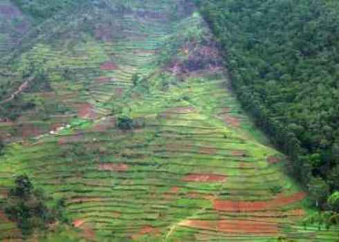 Habitat Conversion Definition Biodiversity A Z Habitat Conversion Definition Biodiversity A Z
